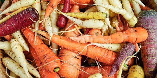 Back to the Roots - Themenwoche in St. Paul