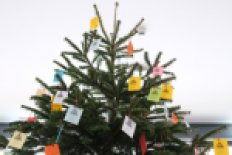 Geschenke-Baum-Aktion im Advent
