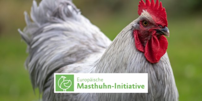 Studentenwerk tritt Europäischer Masthuhn-Initiative bei