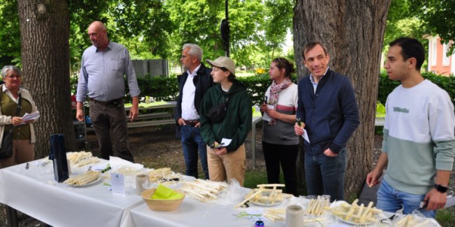 Französische Studentin gewinnt Spargelschälwettbewerb